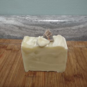 Turkey Tail Mushroom